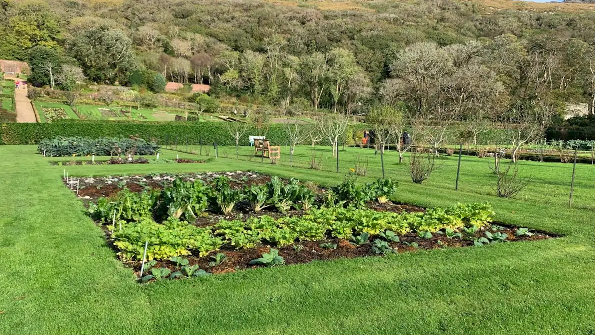 Carré potager surélevé : la hauteur utile selon ce que vous cultivez
