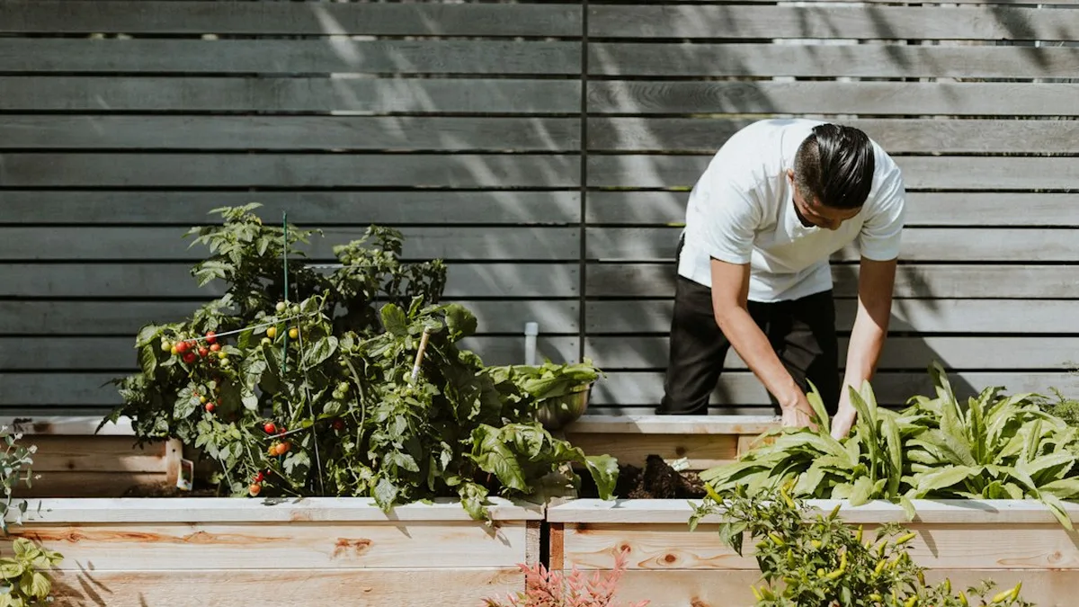 Jardinière en bois pour potager : explications et repères