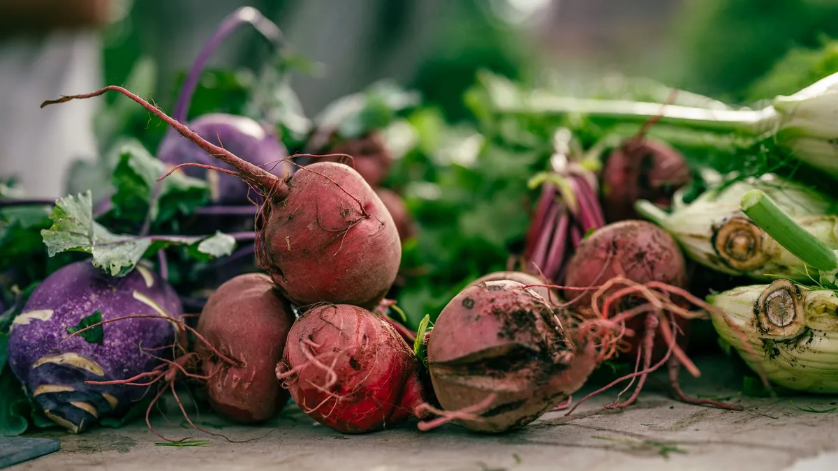Jusqu à quand peut on planter des betteraves : comprendre et agir