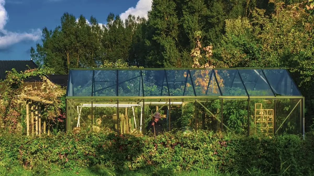 Serre de jardin : verre